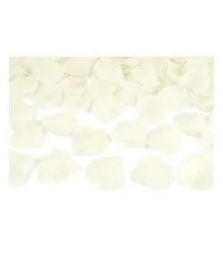 Canon À Confettis Pétales Roses Crème 80CM